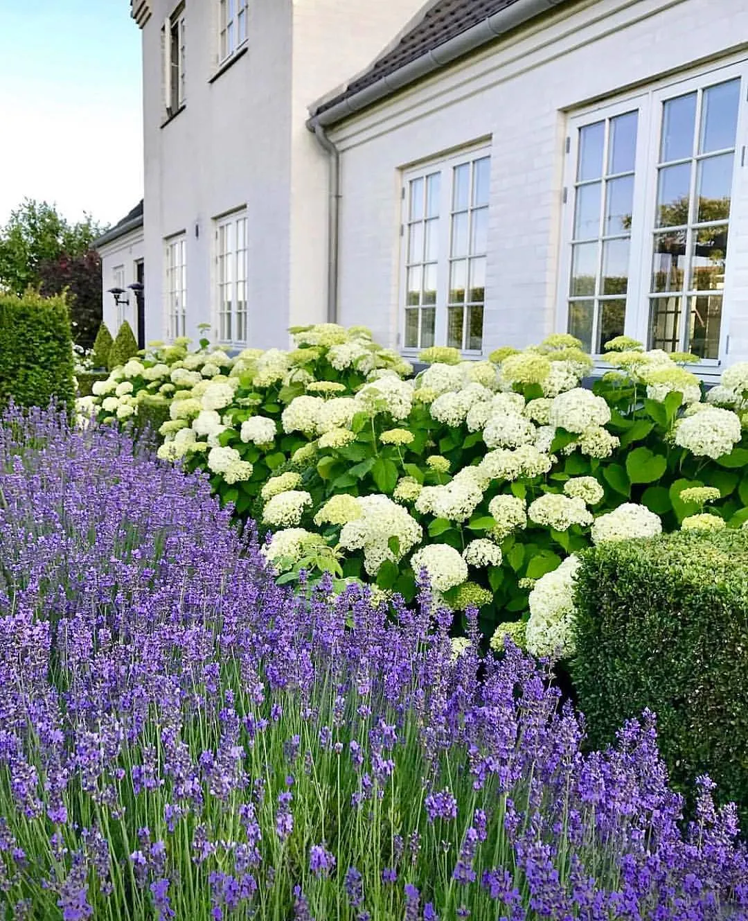Creative Design Landscapes photo 8