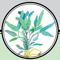 Sweet Woodland Farm logo